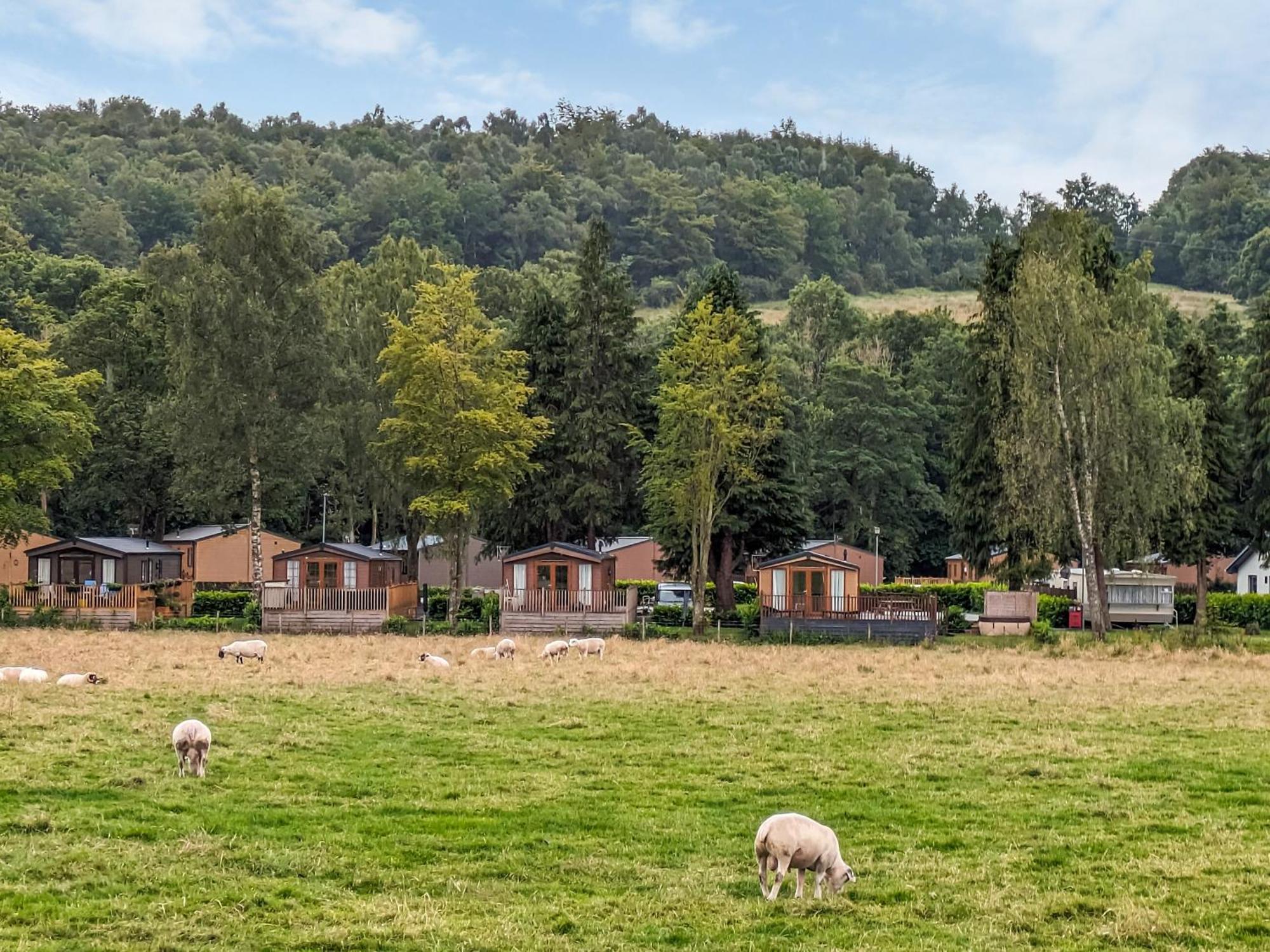 Glenbeagles Lodge Dollar Eksteriør billede
