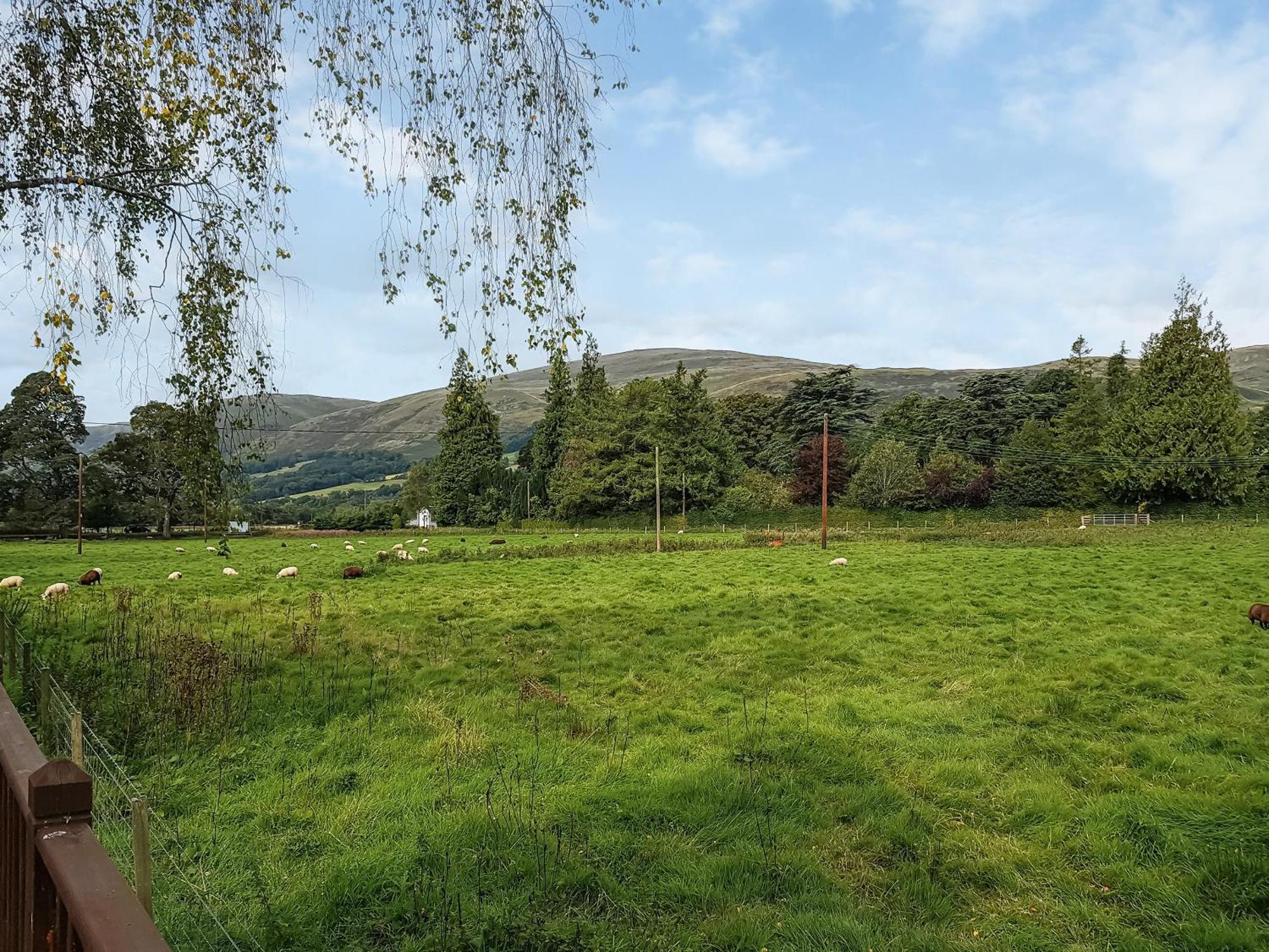 Glenbeagles Lodge Dollar Eksteriør billede